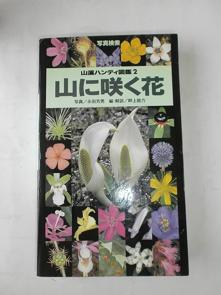 山に咲く花―写真検索 (山渓ハンディ図鑑) (山溪ハンディ図鑑 2